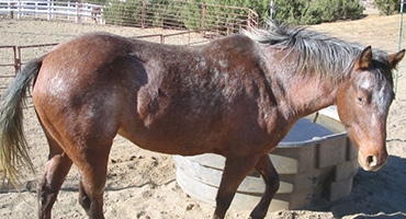 Rainbow Ridge Ranch Photo