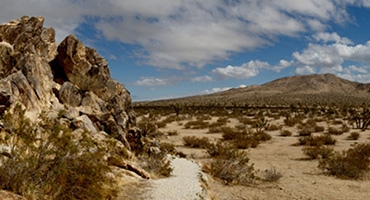 Saddleback Butte State Park Photo