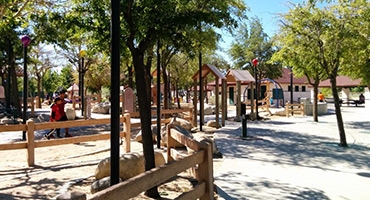 Domenic Massari Park Photo