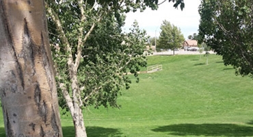 Arnie Quinones Park Photo